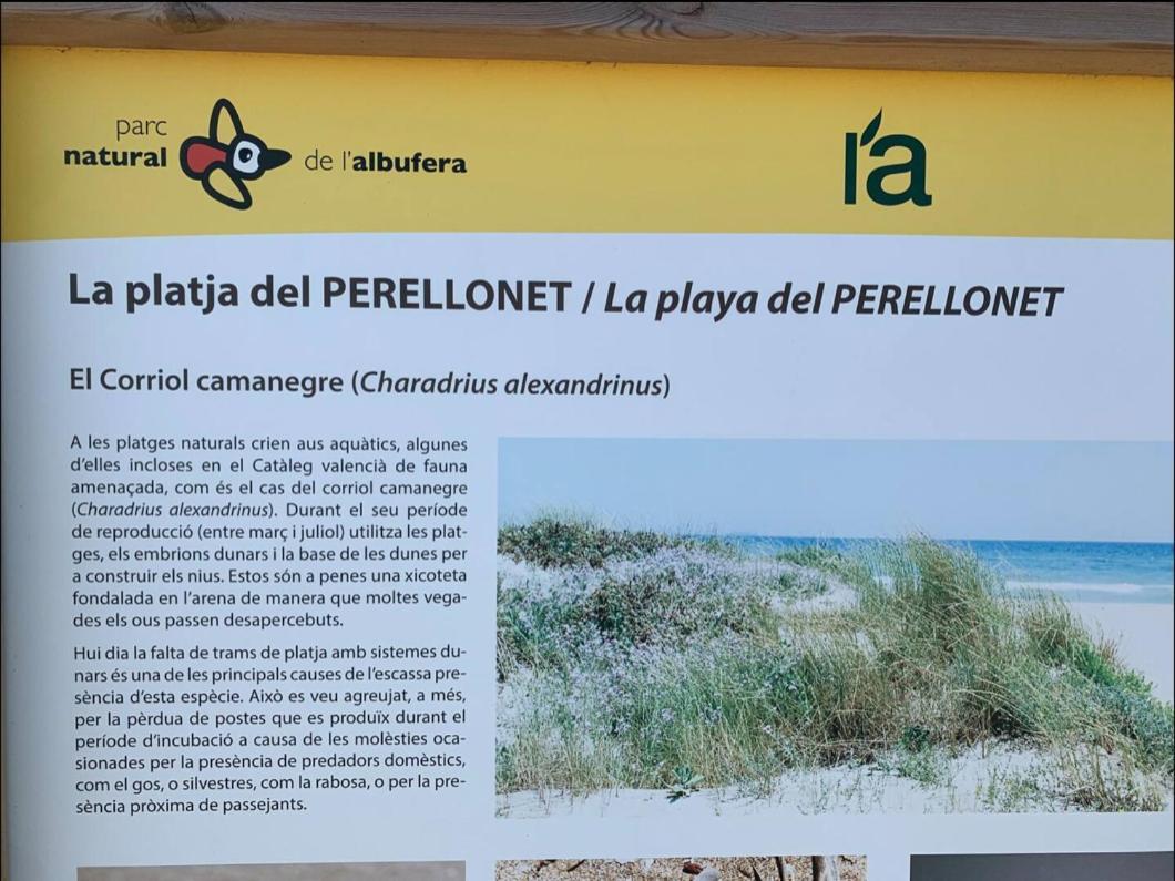 Beach Retreat Valencia Kültér fotó